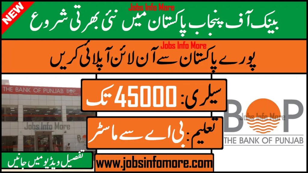 Bank of Punjab new jobs 2024